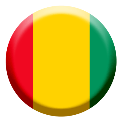 ギニア共和国の国旗-コイン