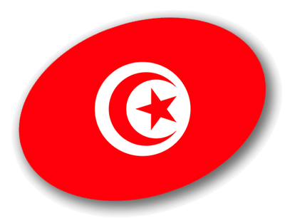 チュニジア共和国の国旗-楕円