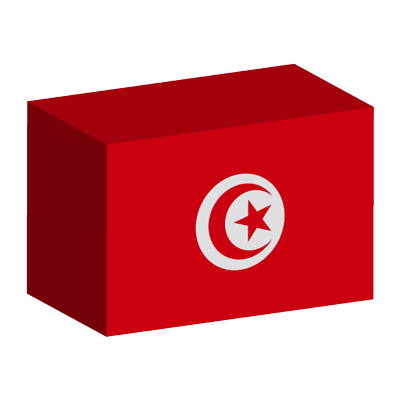 チュニジア共和国の国旗-積み木