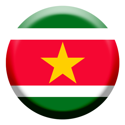 スリナム共和国の国旗-コイン