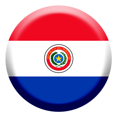 パラグアイ共和国の国旗-コイン