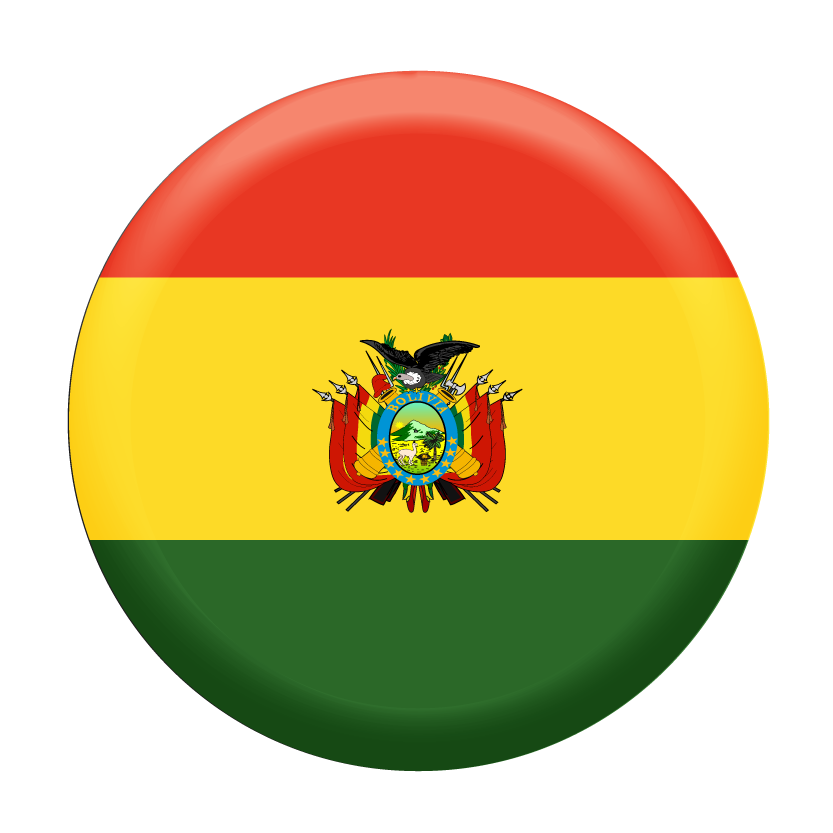 ボリビア多民族国の国旗-コイン