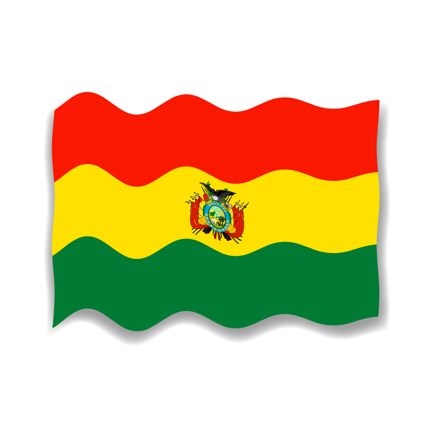 ボリビア多民族国の国旗-波