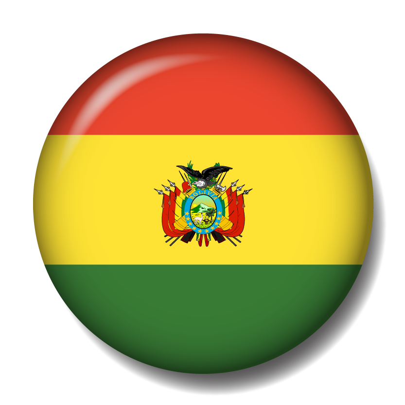 ボリビア多民族国の国旗-缶バッジ